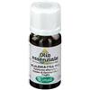 SANGALLI OLIO ESSENZIALE MELALEUCA (TEA TREE) Sangalli 10ml