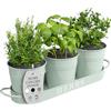 Barnyard Designs Set di 3 fioriere per erbe aromatiche con vassoio, per giardino interno o esterno, in metallo color menta morbida, vasi per piante grasse (set da 3, 11 x 10 cm, su vassoio da 32 x 10