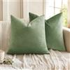MIULEE Copricuscini Divano Camera da Letto Cuscini Arredo Fodere Arredamento Casa Federe Moderni Elegante Morbido Resistente in Velluto con la Cerniera Invisibile 2 Pezzi 50X50 CM Verde Pisello