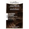 ZETA FARMACEUTICI SpA Euphidra Colorpro Xd500 Cast C