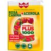 GDP SRL GENERAL DIET. PHARMA Winter Vitamina C Plus 1000 Rosa Canina/Acerola 30 Compresse