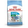 ROYAL CANIN ITALIA SPA Royal Canin Starter Mother&Babydog Crocchette Per Cagne E