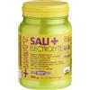 + WATT SRL Sali+ Electrolyte Limone 500g