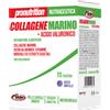 PHARMATEAM SRL Pronutrition Collagene Marino + Acido Ialuronico 20 Bustine