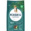 Forza10 Dog Adult Maintenimento Medium Cervo e Patate - Forza10 - Dog Adult Maintenimento Medium Cervo e Patate - 12KG