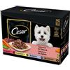 Cesar Selezione in Salsa Multipack - Cesar - Cesar Selezione in Salsa Multipack - 12 x 100 Gr.