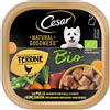 Cesar Natural Goodness Terrine Bio Pollo Piselli Carote - Cesar - Natural Goodness Terrine Bio Pollo Piselli Carote - 100GR