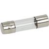 HorecaForniture Fusibile Rapido Ø 5X20 Mm - 10 Pz 3049041
