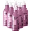 FEI FAN Balsamo LISCI PERFETTI, Balsamo Lisciante, Per Capelli Crespi e Indisciplinati. Con Olio Di Camelia e Advanced Liss Complex, Con Acido Ialuronico 500ml (6 Flaconi)