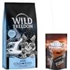 Wild Freedom 6,5 kg Wild Freedom Crocchette + 100 g Filet Snack (gusto pollo) gratis! - Kitten Cold River Salmone