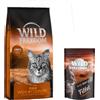 Wild Freedom 6,5 kg Wild Freedom Crocchette + 100 g Filet Snack (gusto pollo) gratis! - Senior Wide Country Pollo