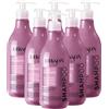 FEI FAN Shampoo LISCI PERFETTI, Shampoo Lisciante, Per Capelli Crespi e Idisciplinati. Con Olio Di Camelia e Advanced Liss Complex, Con Acido Ialuronico 500ml (6 Flaconi)