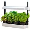 C.I.S. Grow Light Garden 11w - Mini Orto Indoor