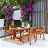DEGHI Set pranzo tavolo allungabile 150/200x100 cm e 4 sedie con braccioli in legno di acacia - Paja
