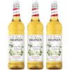 Monin Sciroppo di fiori di sambuco, PET da 1,0 l, confezione da 3 (3 x 1,0 l)