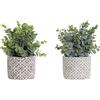 DKD Home Decor Impianto Ornamentale, Standard