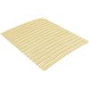 Coavain Aggiorna Rete a Doghe con 17 Doghe 100x200 cm Marrone Reti Elettriche Accessori Camera da Letto Letti una Piazza E Mezza Vestiletto Singolo Giroletto una Piazza e Mezza Rete Matrimoniale