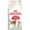 ROYAL CANIN Feline Fit 2kg cats dry food Adult