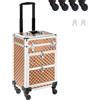 BAKAJI Trolley Make Up Professionale, Beauty Case Estetista Portatile, Valigia Porta Trucchi con Trama Oleografica a Triangolare e Ruote Staccabili, Valigetta Organizer Makeup Viaggio (Oro)