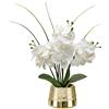 Hollyone Orchidea Artificiale Bianca in Vaso Dorato - Pianta Finta Con 14 Fiori - Bonsai per Matrimoni, Decorazione Soggiorno, Ufficio, Camera