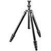 Gitzo GT2545T Traveler Treppiede, Compatto, Ripiegabile e Leggero, Colonna Corta per Inquadrature Raso Terra Inclusa, Serie 2, 4 Sezioni, Fibra di Carbonio