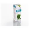 Esential A Olio essenziale Citronella di Ceilan 100 ml Confezione 100 ml 400 g