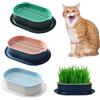 FENGQQKJ 3 fioriere per erba gatta per erba gatta scatola idroponica per erba gatta vassoio erba gatto vassoio erba gatto contenitore erba gatto erba per gatti da interno per piantare erba gatto