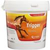 CANDIOLI IST.PROFIL.E FARM.SpA Trigger - mangime complementare per cavalli a base di aminoacidi - secchiello da 1 kg