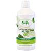 FARMADERBE Srl ALOE VERA SUCCO POLPA 1000ML