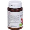 Arkopharma antiossidante & gambe pesanti Vite Rossa 45 capsule