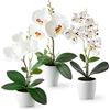 PASCH® Fiori artificiali in vaso (35 cm) - Set di 3 orchidee artificiali, in vasi di ceramica lucida, fiori artificiali, orchidee artificiali (composizione bianca)