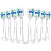Trustnice Spazzole di Ricambio Compatibili con Philips Sonicare Spazzolino Elettrico -Testine per Modello di Spazzola Sonicare Snap-on, Confezione da 8 (Bianco, Pack de 8)