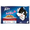 Felix Le Ghiottonerie Junior con Manzo e Pollo in Gelatina 4 Buste 100 g - -