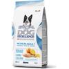 Special Dog Excellence Medium Adult Pollo 3 kg - -