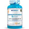 Scenit Redefining your Body Ashwagandha capsule - Ashwagandha Sensoril con oltre il 10% senza anolidi, con Vitamina B3 e Vitamina B5-250 mg per capsula - 100 capsule vegane per 100 giorni