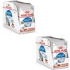 Royal Canin Indoor Sterilised in Sauce | Confezione Doppia | 2 x 12 x 85 g | Alimento completo per gatti adulti che vivono in casa | Per gatti sterilizzati | Bocconcini in salsa