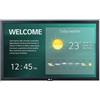 LG Display professionale Lg Digital Signage 22SM3G B AEU