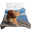 Surwin Trapuntino Copriletto Trapuntato Primaverile Estivo, Stile Moderno, Trapuntino in Morbida Microfibra Stampa Gatto 3D Leggero Coperta Letto Singolo Matrimoniale (Passeggiata sul Mare,180x220cm)