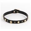NS Novelties Fetish & Fashion Alina Collar Black