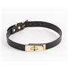 NS Novelties Fetish & Fashion Sadie Collar Black