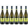 Umani e Ronchi 6 Bottiglie 6 PECORINO VELLODORO Terre di Chieti UMANI RONCHI 2024 Umani e Ro...