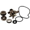 one Variante Kit REVISIONE Pompa 50CC (cod 77093605 Kit revisione Pompa Acqua Completo di girante e Guarnizione Compatibile con Yamaha t-Max 500 Anno dal 2001-2002-2003-2004-2005-2006-2007)