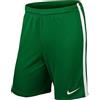 Nike Pantaloncini da uomo League Knit, 725881-302, Verde (Pine Green/White/302), M