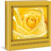 Lombardi Fotografo Album portafoto a Tasche per 100 Foto 13x19 con Memo, 1 Foto per Pagina, Interni Bianchi, Misure Album 21x21CM. (Giallo)