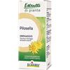 BOIRON Srl pilosella boiron estratto idroalcolico 60 ml