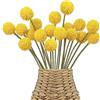 Wekuw 18 Pezzi Fiori Secchi Decorativi, Fiori Finti per Decorazioni, Fiore Artificiale Palla Billy, Fiori Decorativi, per Interni ed Esterni per il Ringraziamento, Natale, Matrimoni in Balcone