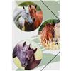 PAGNA 21720-15 - Cartellina con elastico, formato A3 PP Lovely 3 lembi