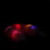 Ouch! Light-up Fox Tail with Metal Butt Plug Pink