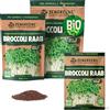 ZenGreens® - Semi di cima di rapa biologico - Scegli tra 10g, 200g e 500g - Germogli di cima di rapa - Germinazione superiore al 97% - Microgreens