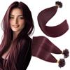 Elailite Extension Capelli Veri Cheratina 100 Ciocche di Capelli Naturali Indiani 35cm (50g) 100% Remy Human Hair #99J Vino Rosso